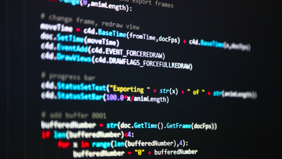 Custom development to improve your management software